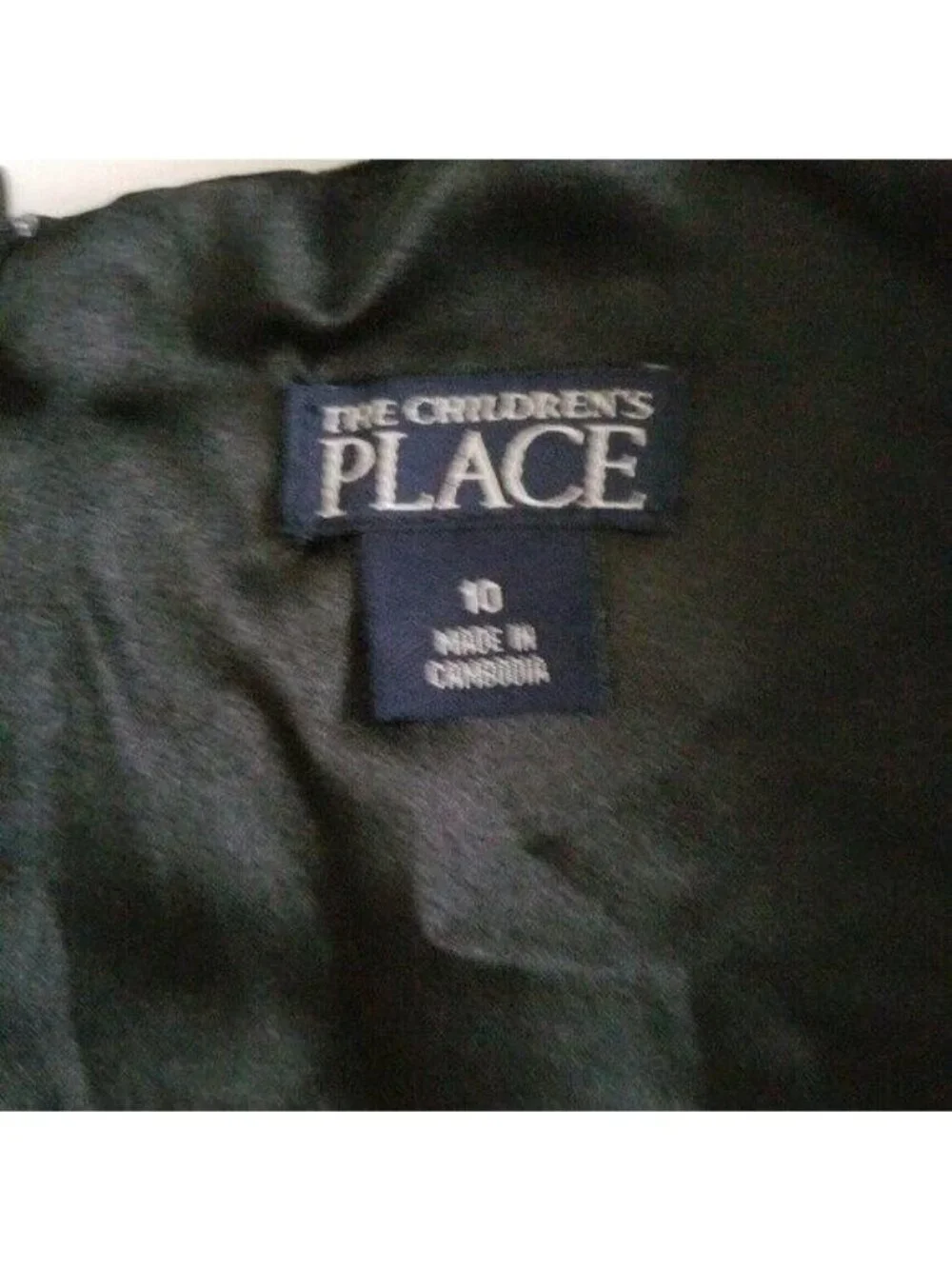 The Children’s Place Little Girls Embroidered Floral Black Velvet Dress Size 10